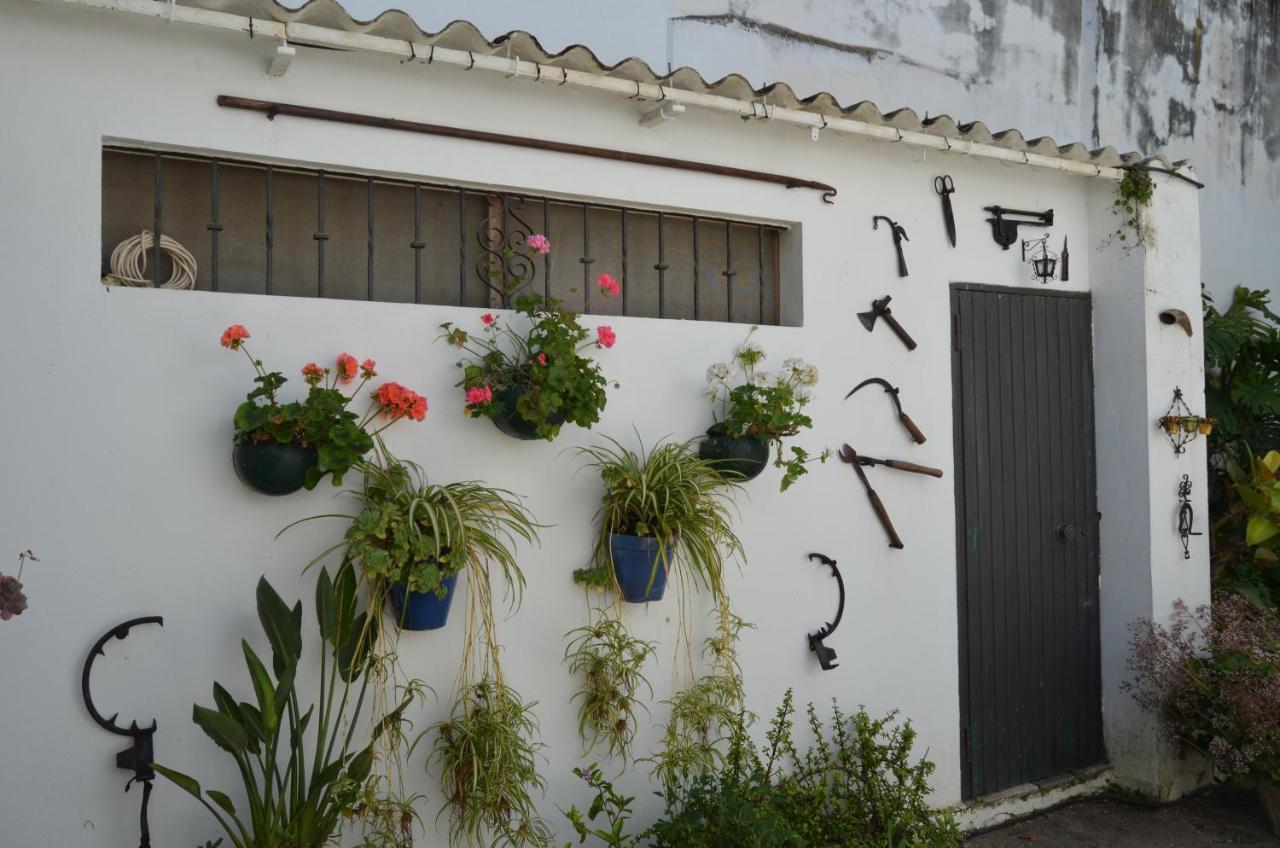 Casa Miler Apartment Sanlúcar de Barrameda Екстериор снимка